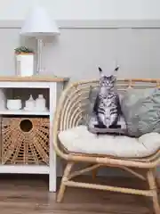 Серый меланж мягкая подушка Кошка/Кот, реалистичная