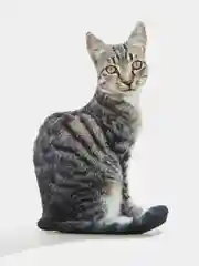 Серебряный мягкая подушка Кошка/Кот, реалистичная