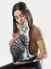 Серебряный мягкая подушка Кошка/Кот, реалистичная