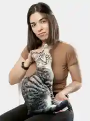 Серебряный мягкая подушка Кошка/Кот, реалистичная