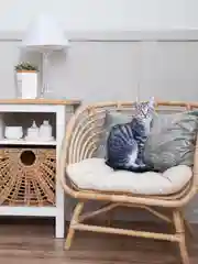 Серебряный мягкая подушка Кошка/Кот, реалистичная