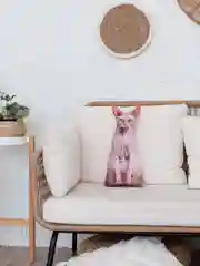 Кремовый мягкая подушка Кошка/Кот, реалистичная