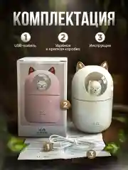 Увлажнитель воздуха 300 мл