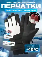 Перчатки горнолыжные сенсорные