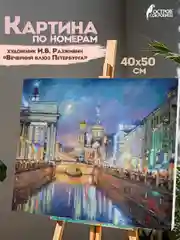 Раскраска-картина антистресс по номерам 40х50см "Вечерний блюз Петербурга", 662895