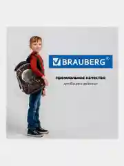 Рюкзак школьный Brauberg Premium, для мальчика, 2 отделения, 227815