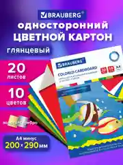 Картон цветной формата А4 для творчества и оформления МЕЛОВАННЫЙ EXTRA 10 цветов, 113546