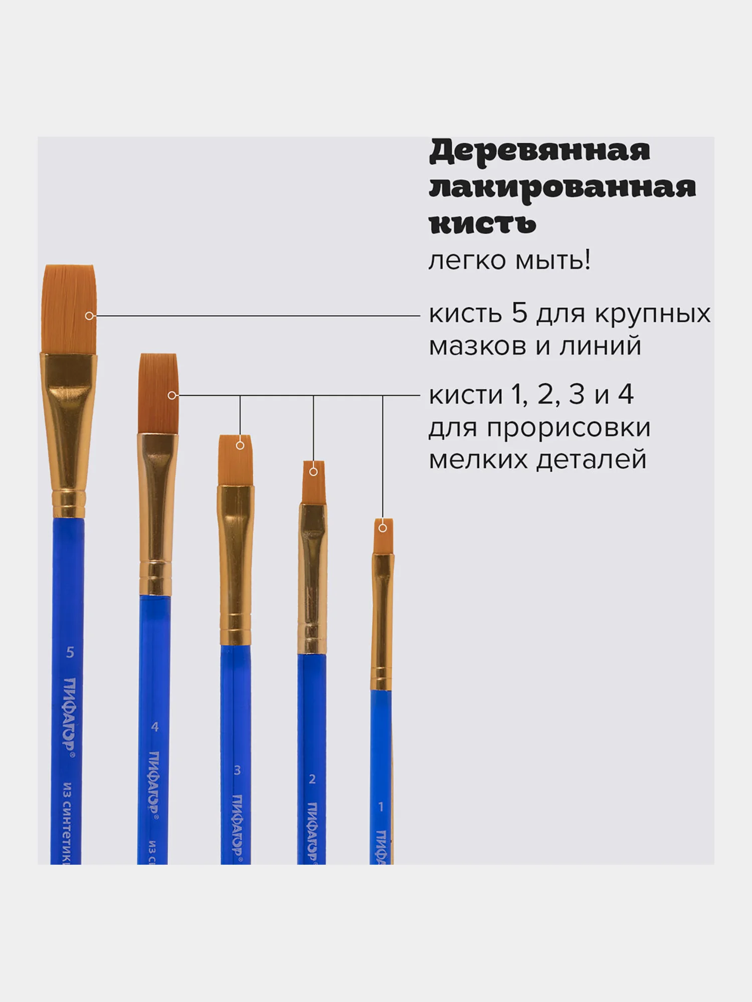 Кисти "Пифагор", 5 штук