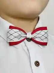 Бордовый галстук бабочка для мальчиков, ручная работа