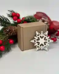 Набор из 10 ёлочных игрушек "Снежинка Метель"