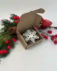 Набор из 10 ёлочных игрушек "Снежинка вьюга"