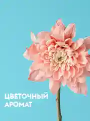 Чистящее средство для ванной комнаты и унитаза DUTYBOX 500 мл