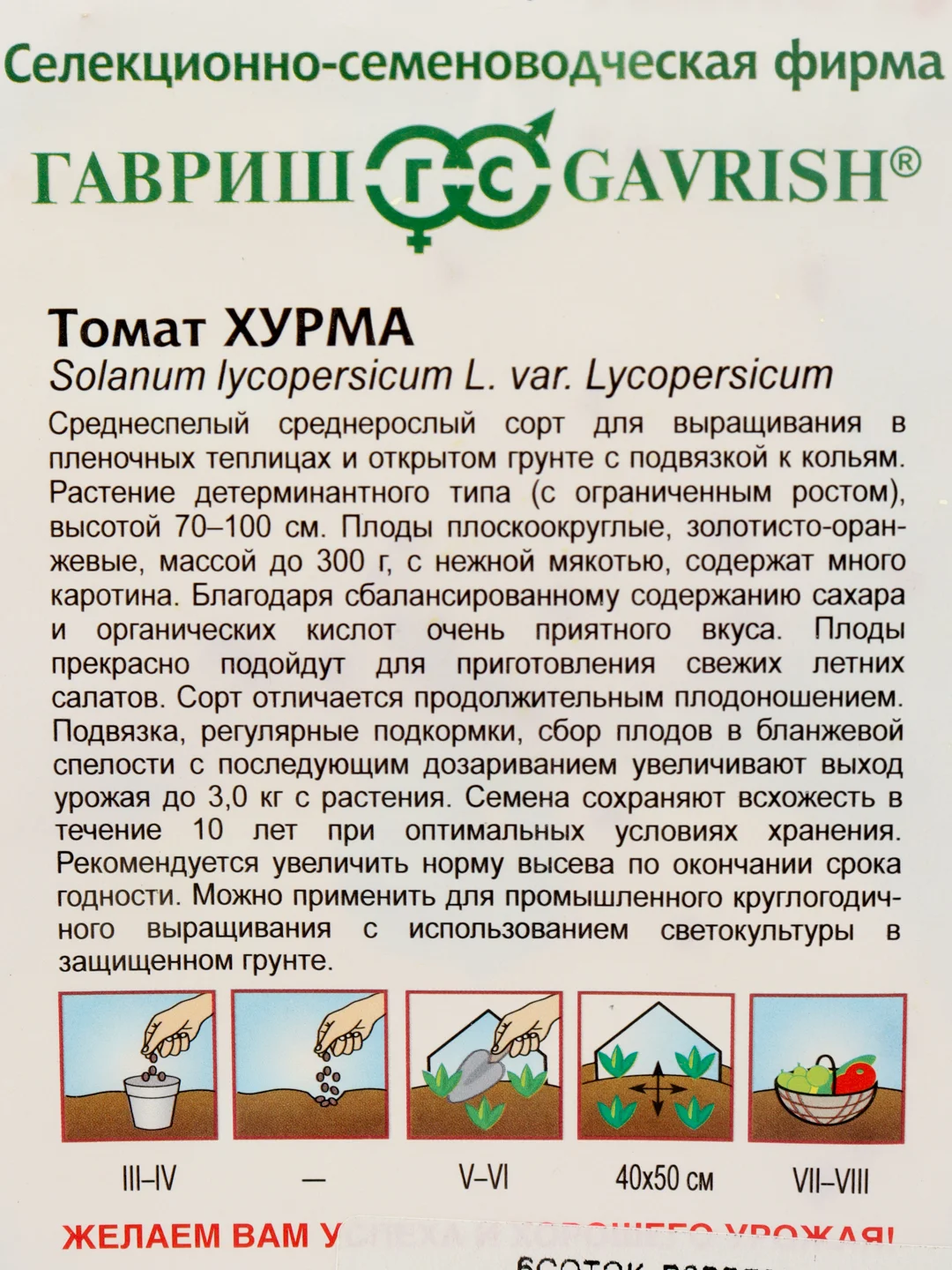 Семена томат Хурма Гавриш