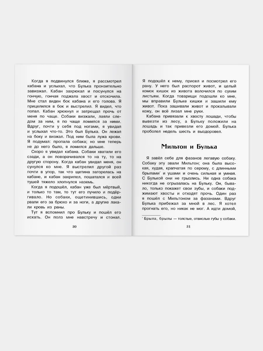 Лев и собачка. Рассказы. Л.Н.Толстой. Внеклассное чтение