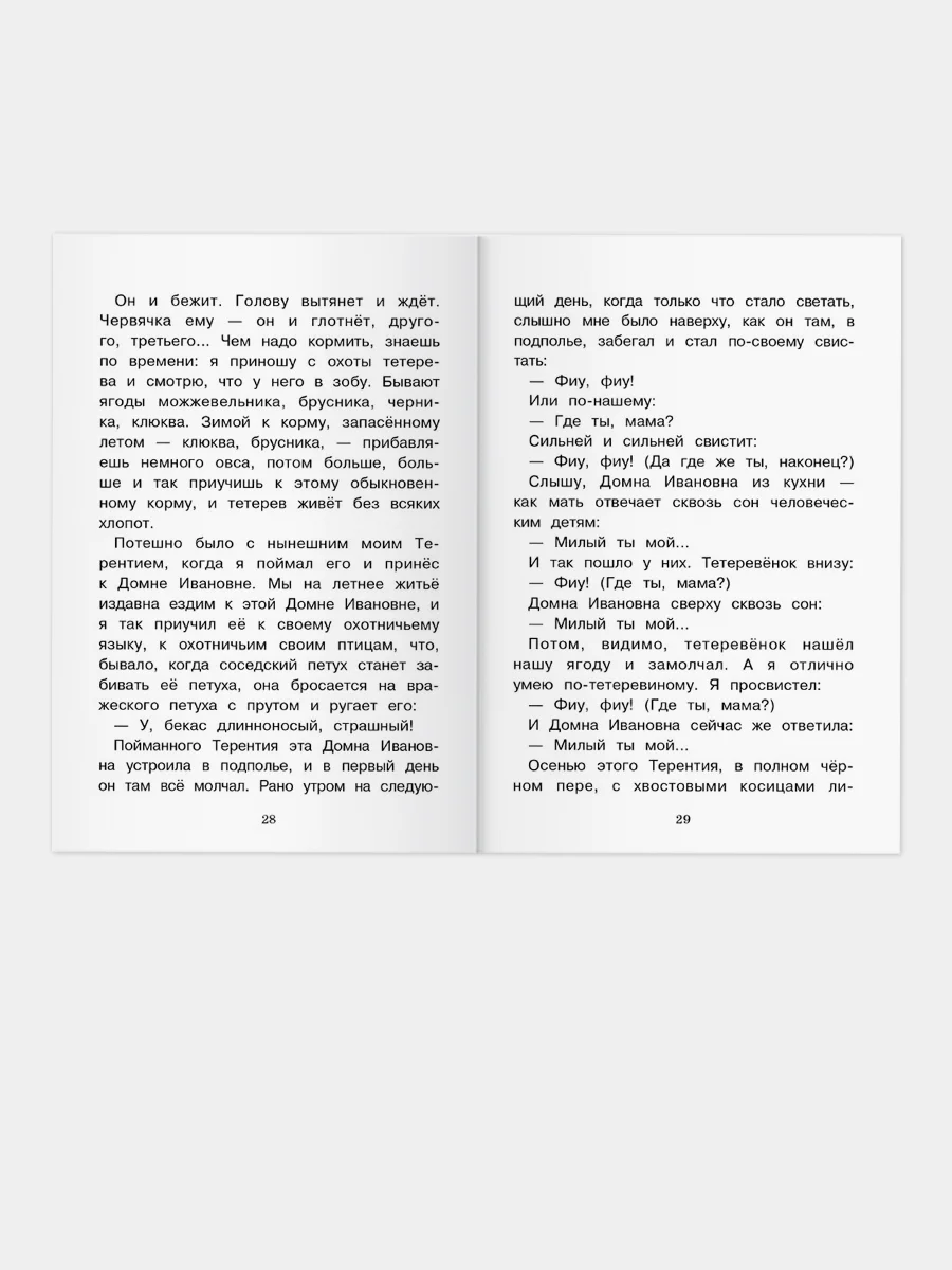 Лисичкин хлеб и другие рассказы. Внеклассное чтение