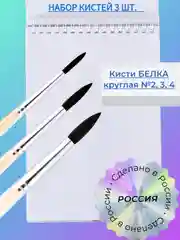 Бежевый набор кистей Белка 3 шт.: Белка 2, 3, 4, Россия, для рисования, художественные кисточки