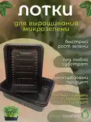 Лоток и крышка для выращивания микрозелени