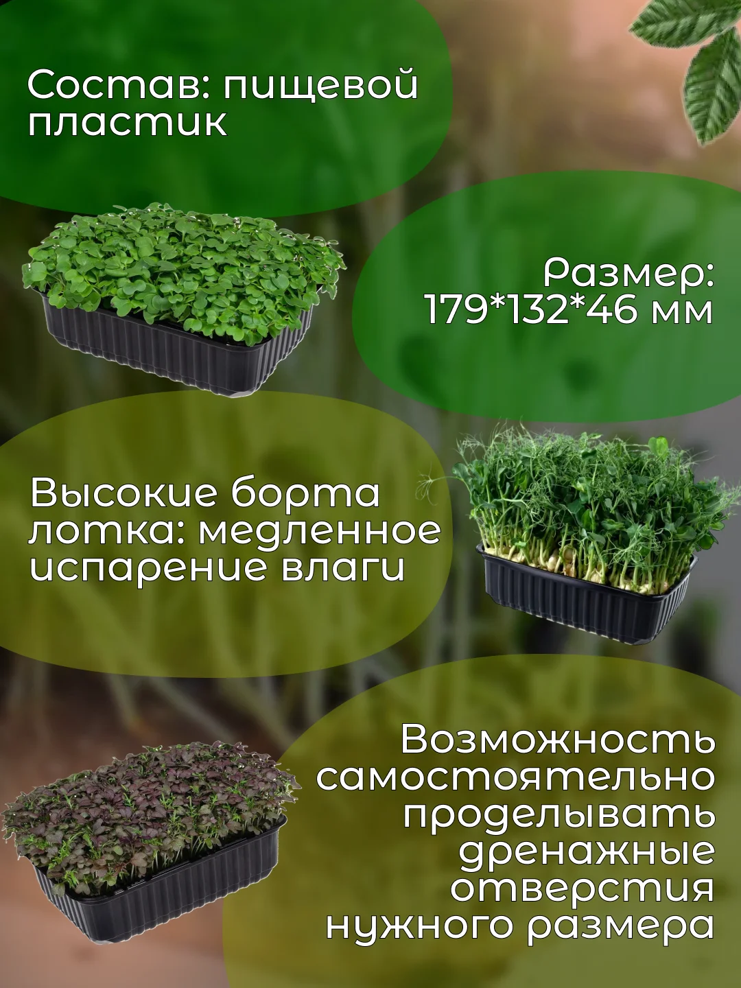 Лоток и крышка для выращивания микрозелени