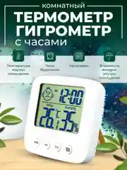 Часы-метеостанция Perfeo "Izel"