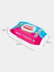 Салфетки влажные АНТИБАКТЕРИАЛЬНЫЕ 120 шт, LAIMA Antibacterial, крышка-клапан, 112497