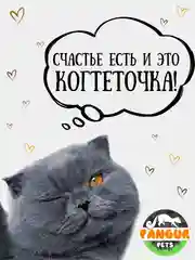 Когтеточка лежанка картонная напольная с травяной смесью для кошек котят котов и кошки