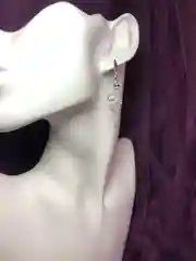 Серебряный серьги змеи