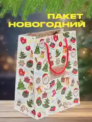 Черный пакет подарочный новогодний крафтовый, 18 х 23 х 10 см, подарочная коробка новогодняя