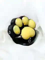 Черный игрушки антистресс сквиш лапка Кошачья/таба лапа большая, котик/капибара/куроми/орео/хомяк