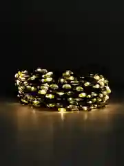Желтый гирлянда нить "Роса 50 м." на зеленом проводе, 500 LED
