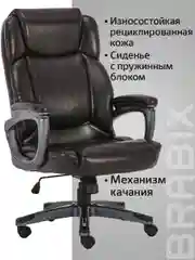 Кресло офисное BRABIX PREMIUM Favorite EX-577, пружинный блок, рециклир. кожа, 531936