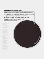 Кресло офисное BRABIX PREMIUM Favorite EX-577, пружинный блок, рециклир. кожа, 531936