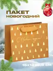 Пакет подарочный новогодний бумажный крафтовый горизонтальный 15 х 12 х 5,5 см