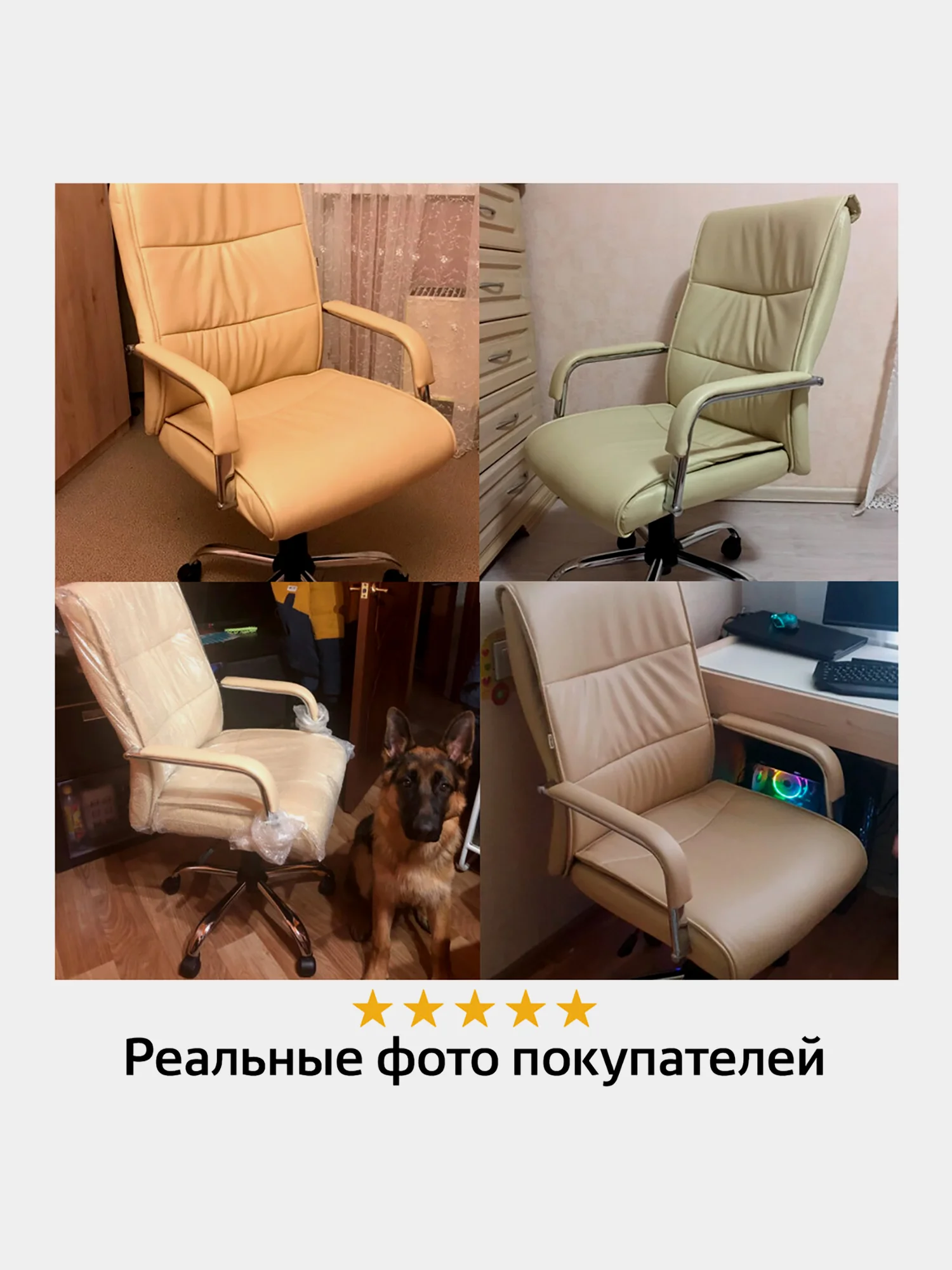 Кресло офисное BRABIX Space EX-508, экокожа, хром, бежевое, 531165