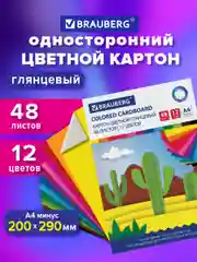 Картон цветной формата А4 для творчества и оформления МЕЛОВАННЫЙ EXTRA 12 цветов, 113552