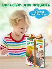 Графический планшет для рисования Brauberg Kids, 665301, детский электронный цветной 8,5"