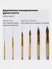 Кисти / кисточки Пифагор, набор 6шт. (беличьи круглые № 1, 3, 5, 7, 9, 11), блистер