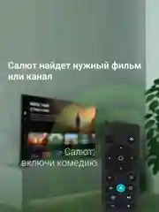 Телевизор LED Digma 43" DM-LED43UBB40 Smart Салют ТВ Frameless Metal черный