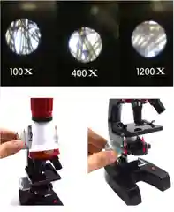 Микроскоп детский, с увеличением 100х, 400х, 1200х