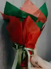 Красный бумага тишью новогодняя, с блестками, 50х66 см