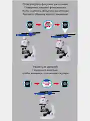 Микроскоп детский, с увеличением 100х, 400х, 1200х