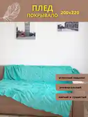 Тиффани плед покрывало на диван и кровать евро 200*220 плюшевый, однотонный, мягкий на подарок