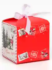 Коралловый коробка подарочная квадратная, самосборная, новогодняя, 8 вариантов