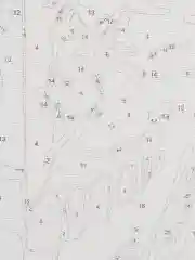 Разноцветный картина по номерам на подрамнике / Картина по номерам на холсте / Картина на стену