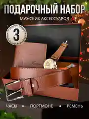 Подарочный набор аксессуаров для мужчин: часы, ремень, портмоне коричневый