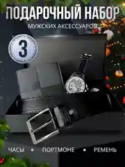 Подарочный набор аксессуаров для мужчин: часы, ремень, портмоне чёрный