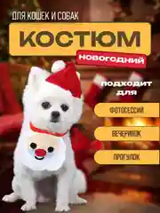 Новогодний костюм для фотосессий для кошек и собак