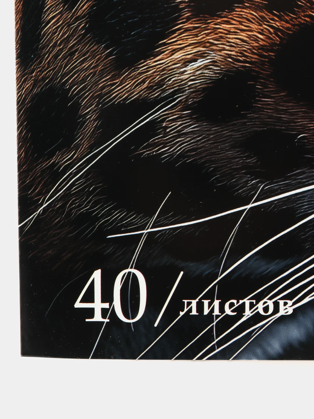 Альбом для рисования Brauberg Леопард, 107130, для акварели А4 в школу 40 листов 200 г/м2