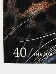 Альбом для рисования Brauberg Леопард, 107130, для акварели А4 в школу 40 листов 200 г/м2