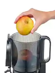 Соковыжималка шнековая CASO Juice Fit Pro