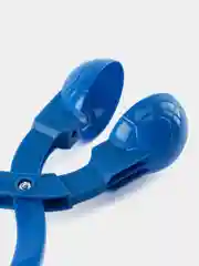 Голубой снежколеп